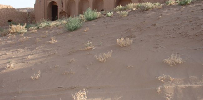 اثر تند بادهای کویری بر رستاق (بخش اول )